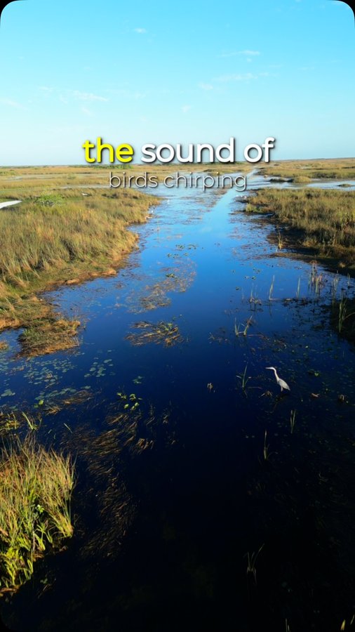 Instagram post by @worldgeoo for Earthjustice. Caption reads: [...] name of profit? If you’re like me and....