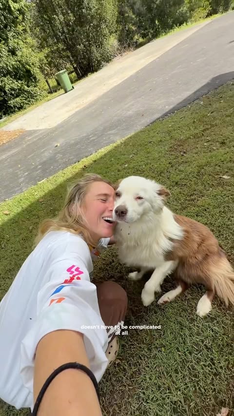Instagram post by @alicebleathman_ for Hill's Pet Nutrition. Caption reads: A swim, a really good stick, his favourite people....
