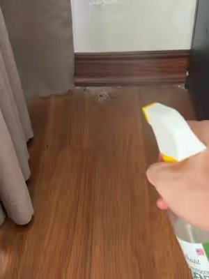 TikTok post by @dusty.dubs.99 for Reliant Pet. Caption reads: [...] #roaches #ants #spiders #AuthenTik @Reliant....