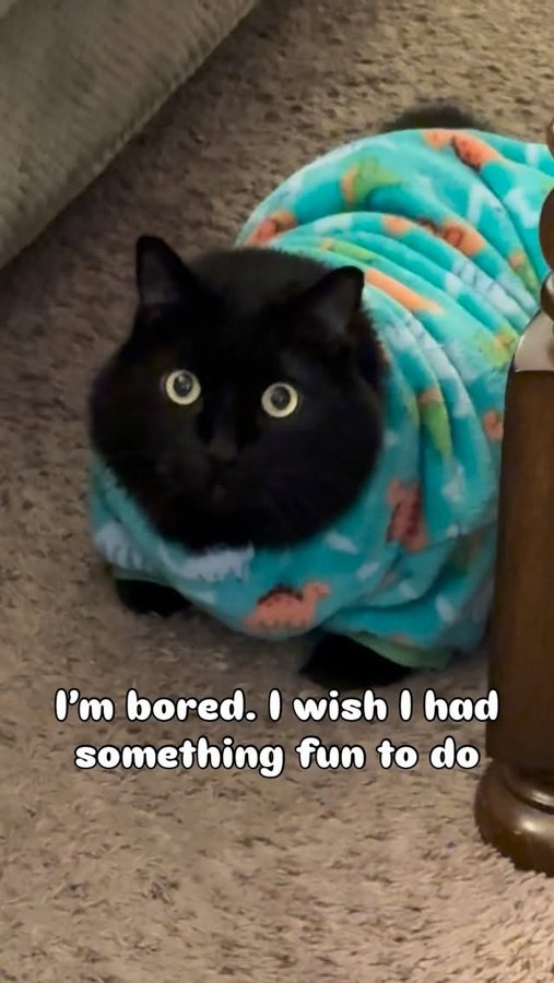 Instagram post by @katsrkole for Cheerble. Caption reads: Bored of the same old activities? Has destroying....