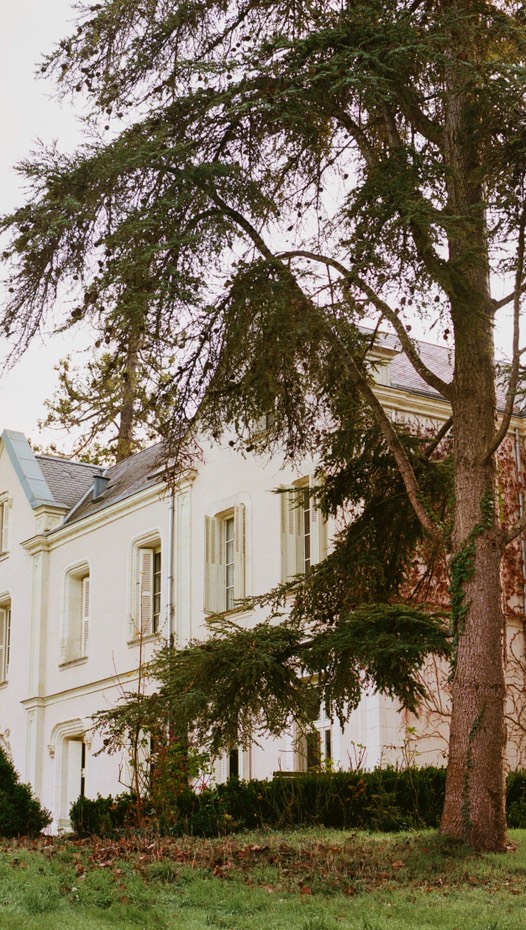 Instagram post by @imogenkwok for Zara Home. Caption reads: CULINARY STORIES
 
Story 05 · Imogen Kwok and....