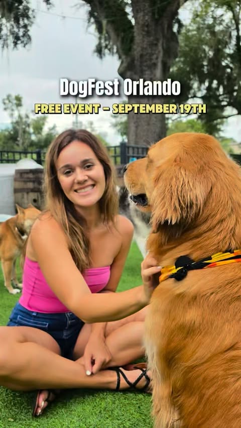 Instagram post by @neverboredinorlando for Orlando Collabs. Caption reads: DogFest Orlando is coming to Winter Park on....