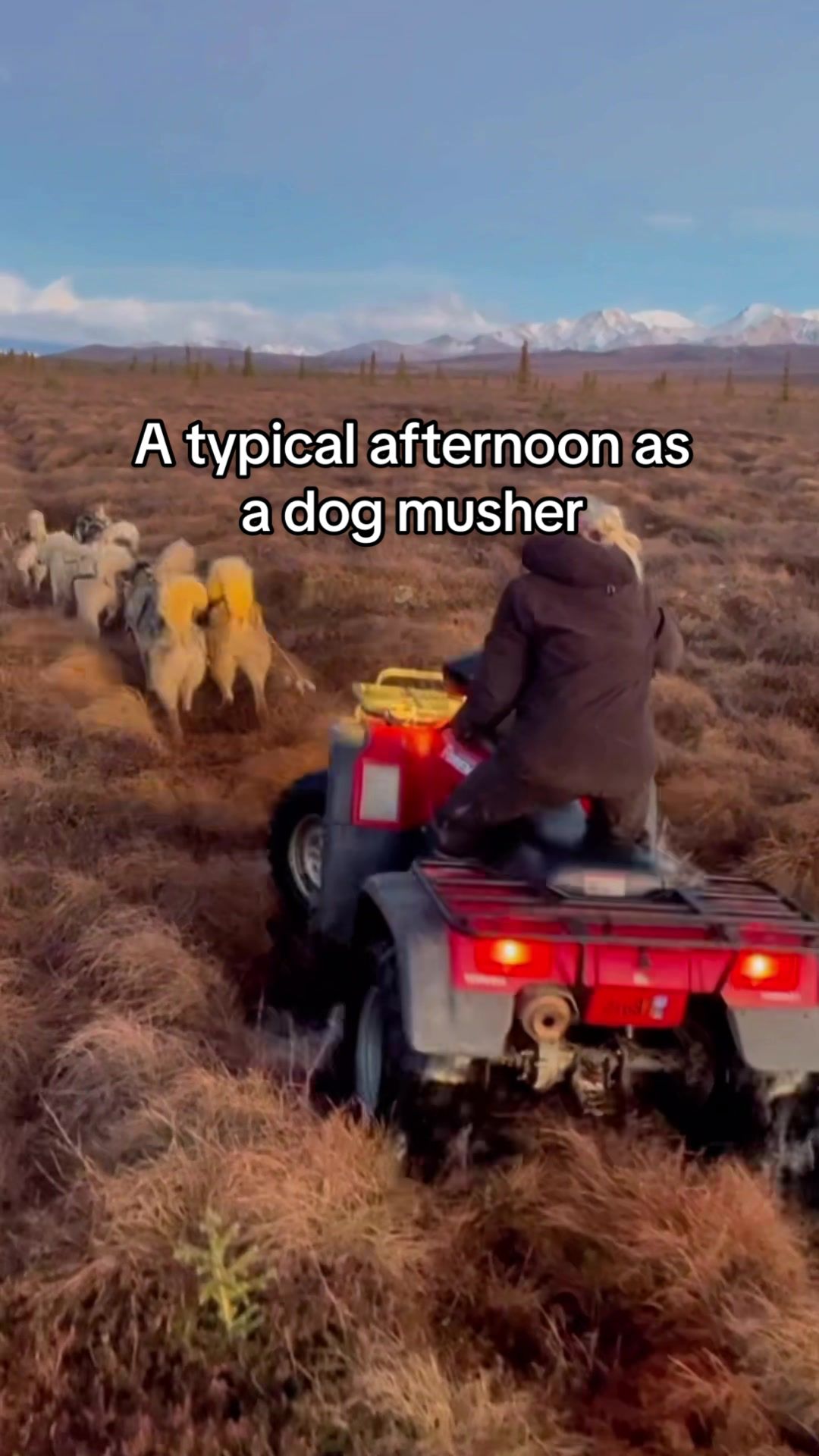 TikTok post by @tonjeblomseth for Leatherman. Caption reads: [...] furry clients with the handy help of....