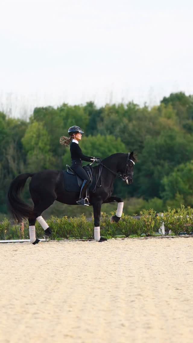 Instagram post by @georgiewestdressage for Holland Cooper. Caption reads: 🖤 We are starting to get ready for our next....