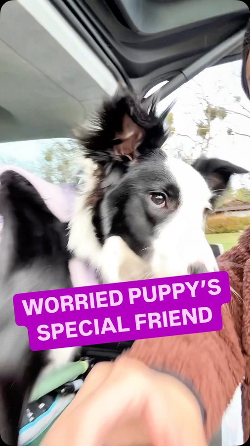 Instagram post by @rachelfusaro for Diggs. Caption reads: Wanna know something wild? 🤯

My 15 year old....