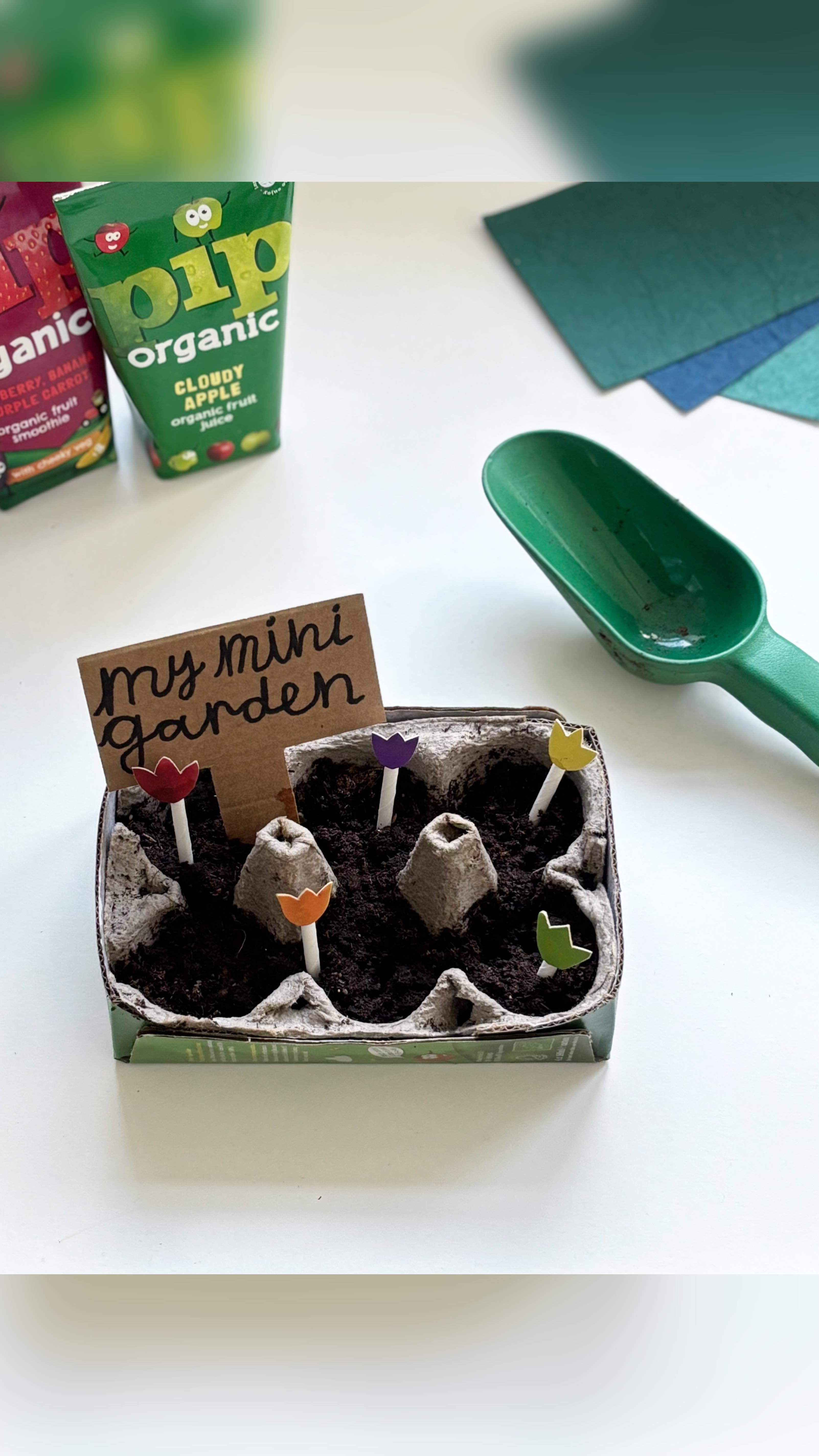 Instagram post by @creative_mama_che for Pip Organic. Caption reads: Mini gardens for Earth Day 🌎 🌱 

ad To celebrate....