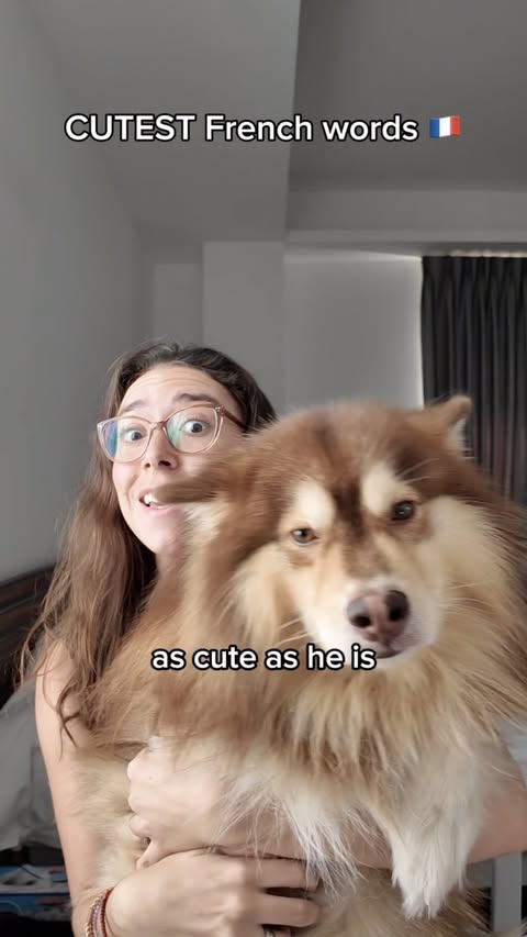 Instagram post by @missframericana for Rosetta Stone. Caption reads: “Coquelicot” is certainly a cute #French word!....