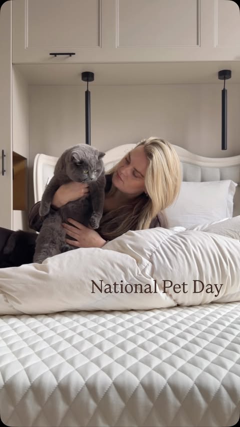Instagram post by @kinglouis_britishblue for Simba Sleep. Caption reads: [...] my seal of approval #NationalPetDay....