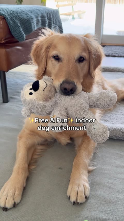 Instagram post by @goldenpup.mika for Fera Pets. Caption reads: [...] add supplements to your dog’s routine, Fera....