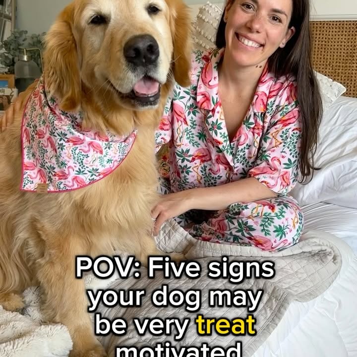 Instagram post by @hudsonbegood for NutriSource Pet Foods. Caption reads: Guess you could say Hudson’s a bit treat obsessed.....