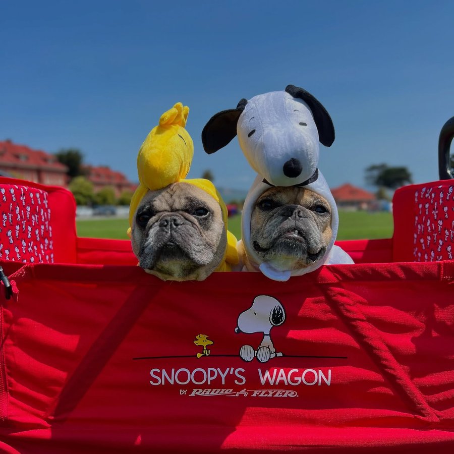 Instagram post by @gusgusinthecity for Radio Flyer. Caption reads: [...] obsessed with our new Snoopy wagon by....