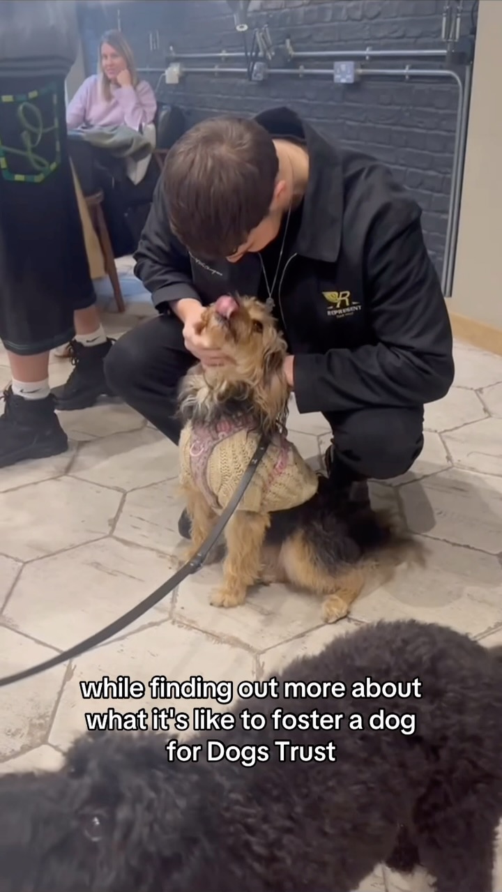 Instagram post by @andrewlepage for Ring. Caption reads: @ringuk has teamed up with @dogstrust to deliver a....