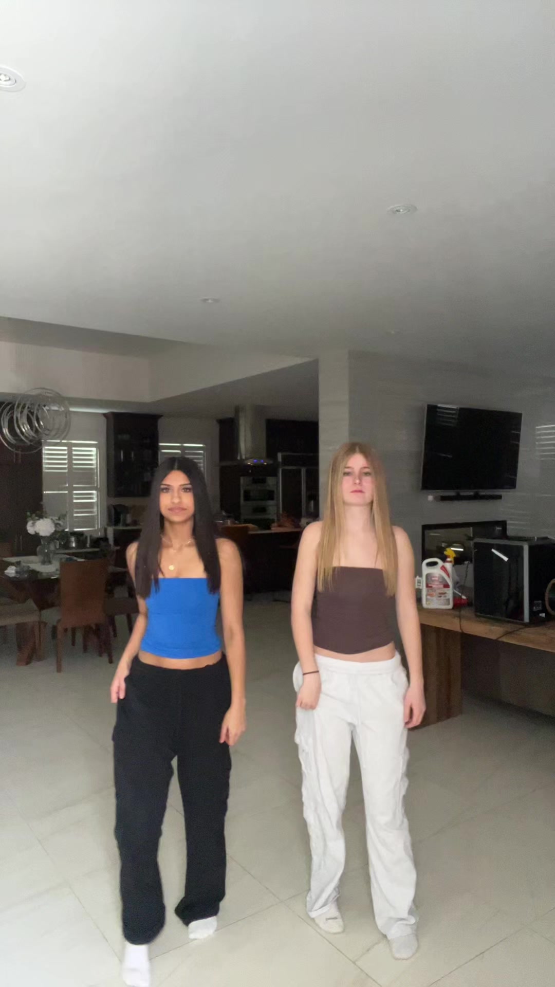 TikTok post by @ellieandseeb for SUUKSESS. Caption reads: [...] ban us again @TikTok 🫪🫪 tops from....