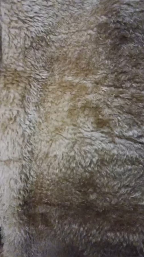 Instagram post by @spark_heaven_50k for The Good Creator Co.. Caption reads: Perfect winter companion with St. Botanica

#AD....