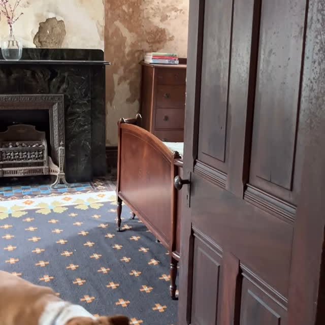 Instagram post by @betsysweeny for Schoolhouse. Caption reads: [...] it was great to get to partner with....