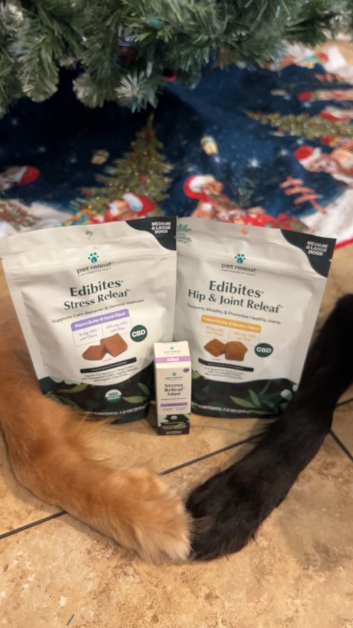 Instagram post by @rocket.and.ripley.retrievers for Pet Releaf. Caption reads: [...] since our favorite pet CBD company....