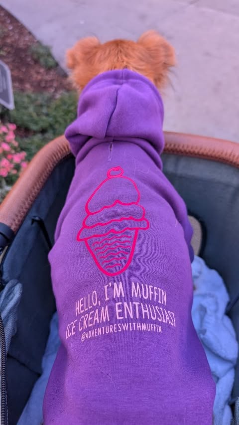 Instagram post by @adventureswithmuffin for Salt & Straw. Caption reads: We're heading to 🍨 Salt and Straw for their five....