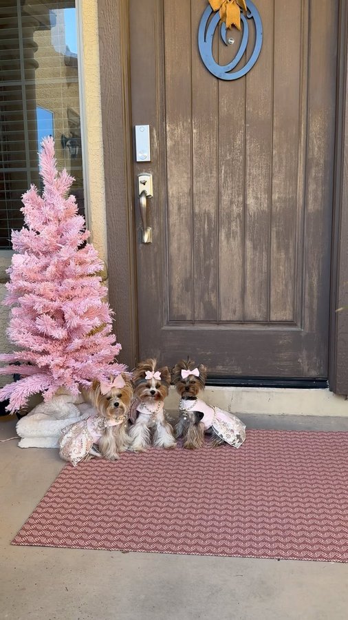 Instagram post by @sammie.n.maddie for Chilewich. Caption reads: [...] with our new Swing rug in Paprika from....