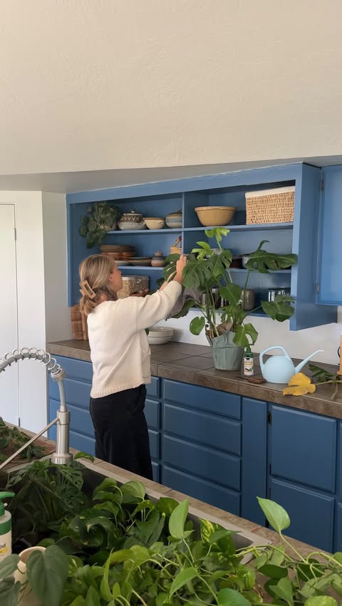 Instagram post by @thecasamagana for Miracle-Gro. Caption reads: [...] a new plant care routine with @miraclegro In....