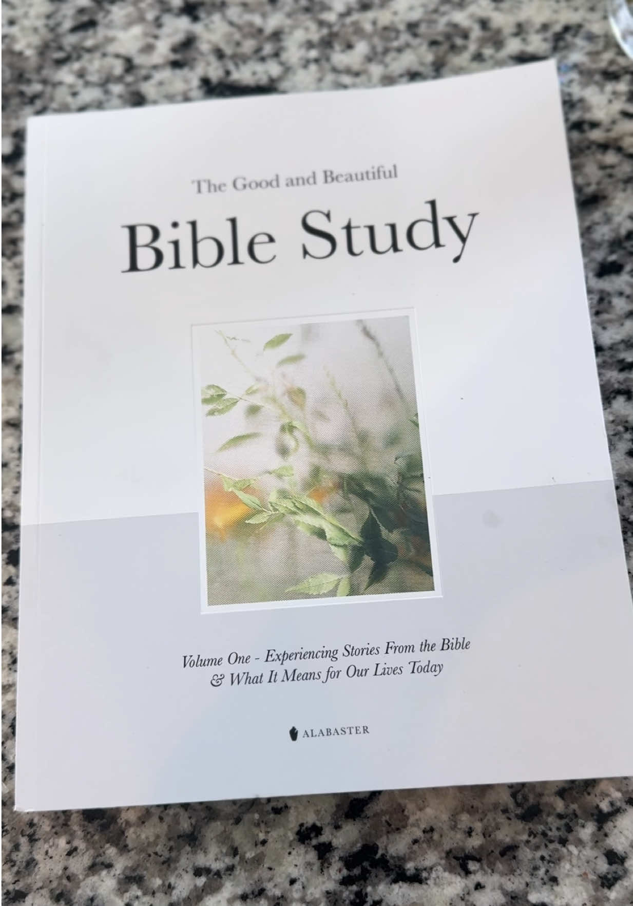 TikTok post by @thetiaramakia for Alabaster Co. Caption reads: One of my daily highlights is this Bible study....