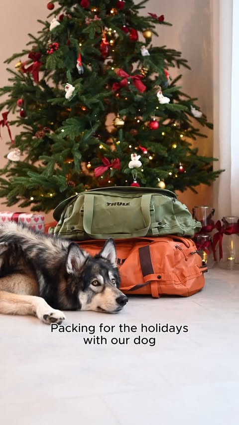 Instagram post by @odens_life for Thule. Caption reads: Packing’s never been easier with @thule ✨ /....