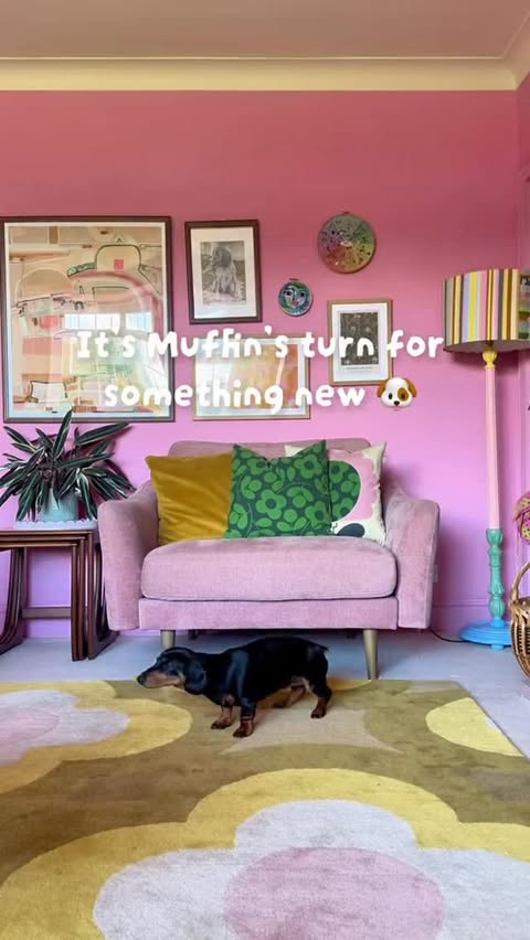 Instagram post by @heatherscolourful for Scruffs. Caption reads: [...] aren’t they? 💗🌹 @petslovescruffs Miniature....