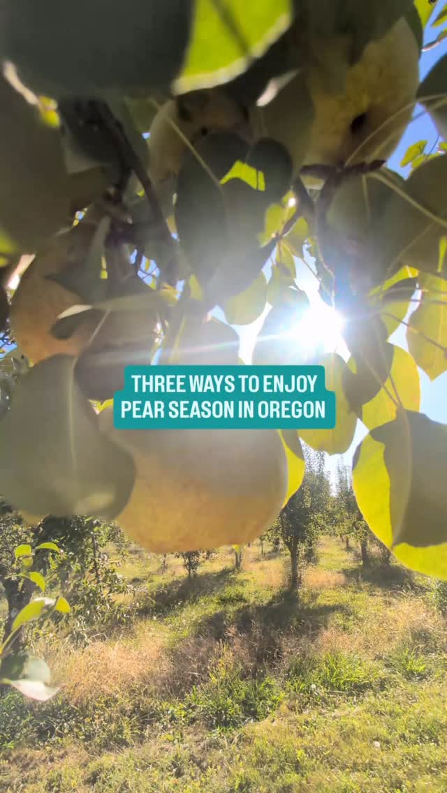 Instagram post by @whattodoinsouthernoregon for Travel Oregon. Caption reads: Did you know that Oregon’s state fruit is the....