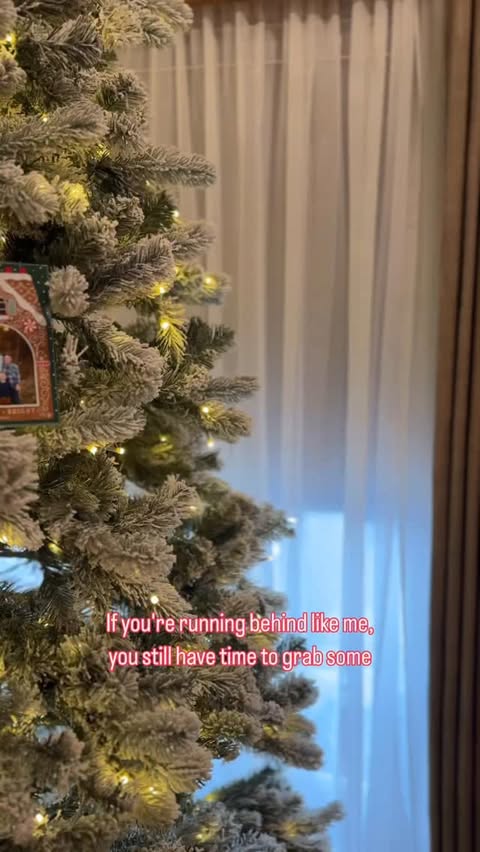 Instagram post by @dani.mccormick for VistaPrint. Caption reads: #VistaPrintPartner Theres still time to order your....