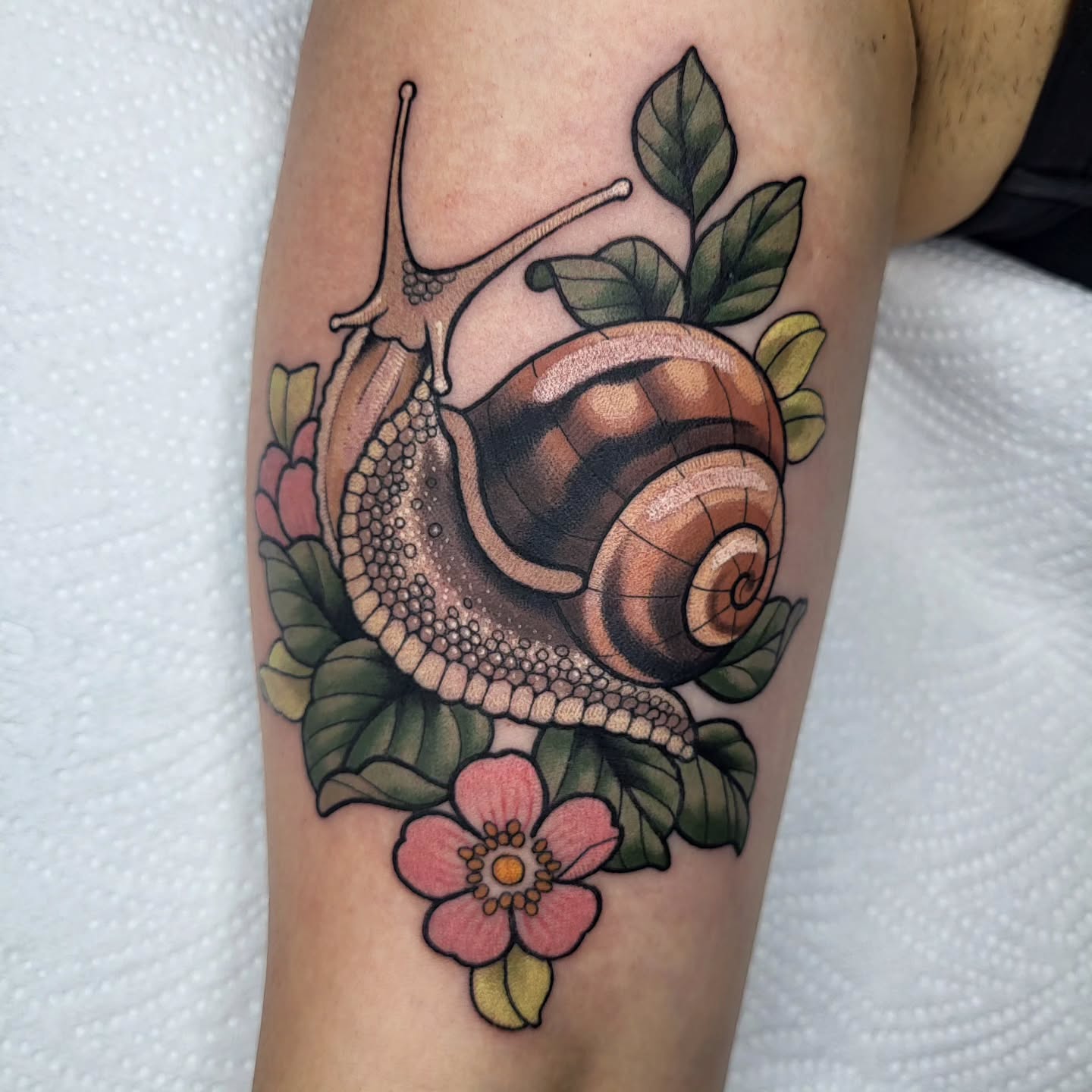 Instagram post by @ali_burke_tattoo for Butterluxe Tattoo Care. Caption reads: Arguably everybody's favourite mollusc. 🐌 Thanks....