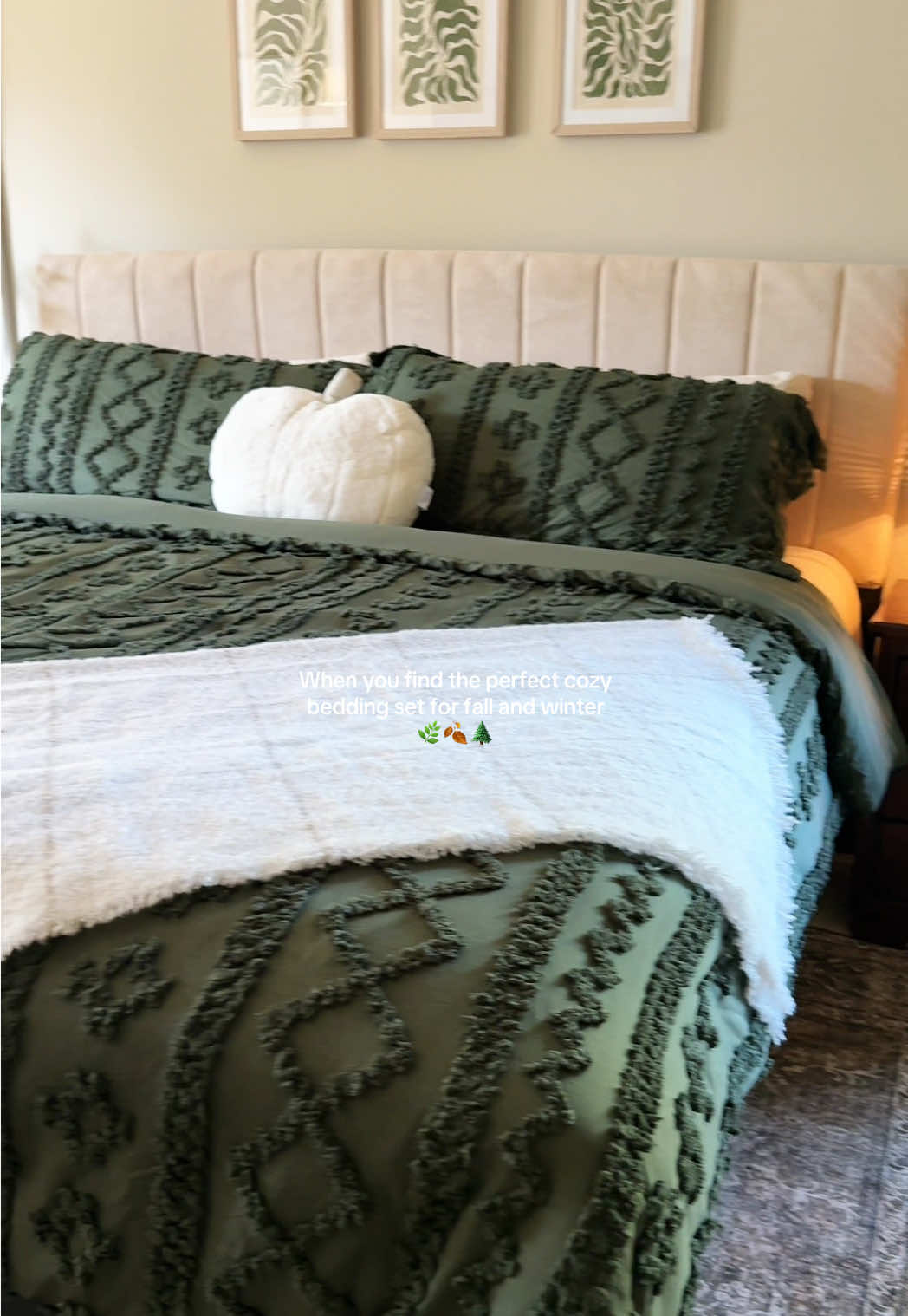 TikTok post by @kennyshopsalot for Bedsure Home. Caption reads: Replying to @WhitneyandMarlowe and it’s on sale....