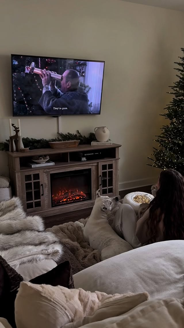 Instagram post by @atashleythomas for Lesure Pet. Caption reads: [...] BlackFriday #TikTokShopCyberMonday....