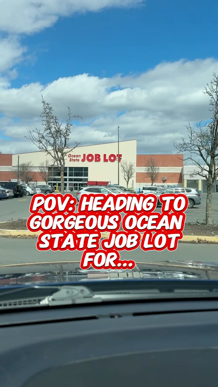 Instagram post by @tamaracameraphoto for Ocean State Job Lot Official. Caption reads: Heading to Ocean State Job Lot for #springfinds is....