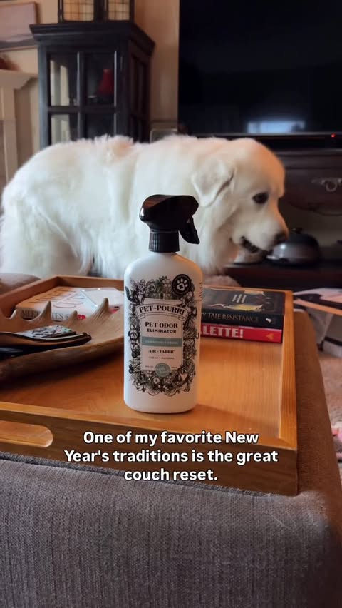 Instagram post by @whosagoodlizard for ~Pourri. Caption reads: [...] fluffed, and a healthy dose of @poopourri....