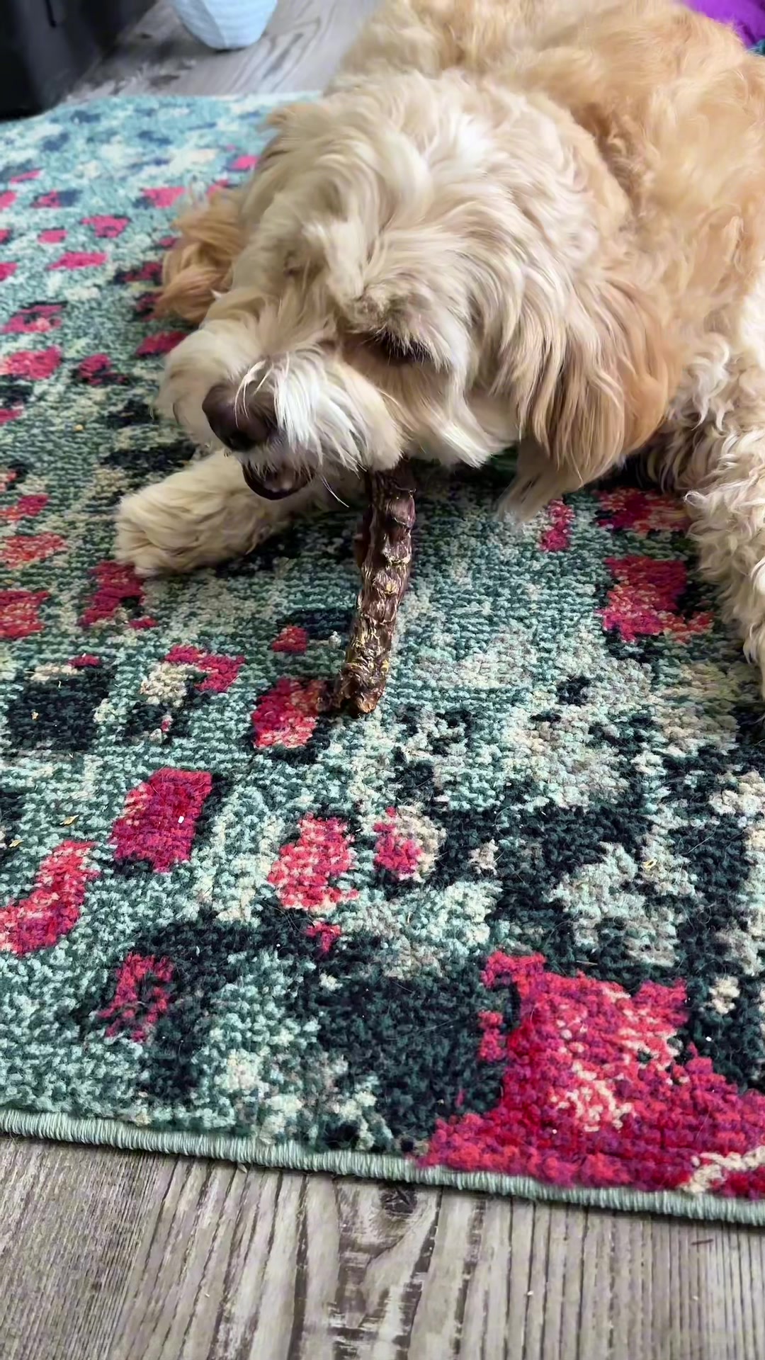 TikTok post by @eddys_escapades for King Lou. Caption reads: [...] mom order a whole box of duck necks. @King....