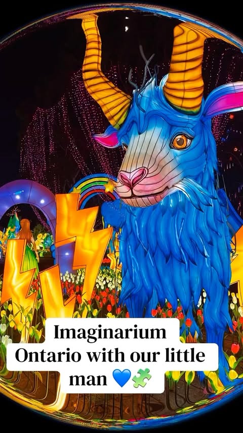 Instagram post by @lalocaofficial for Imaginarium360. Caption reads: [...] tickets: 🔗 💸 Use code Laloca143....