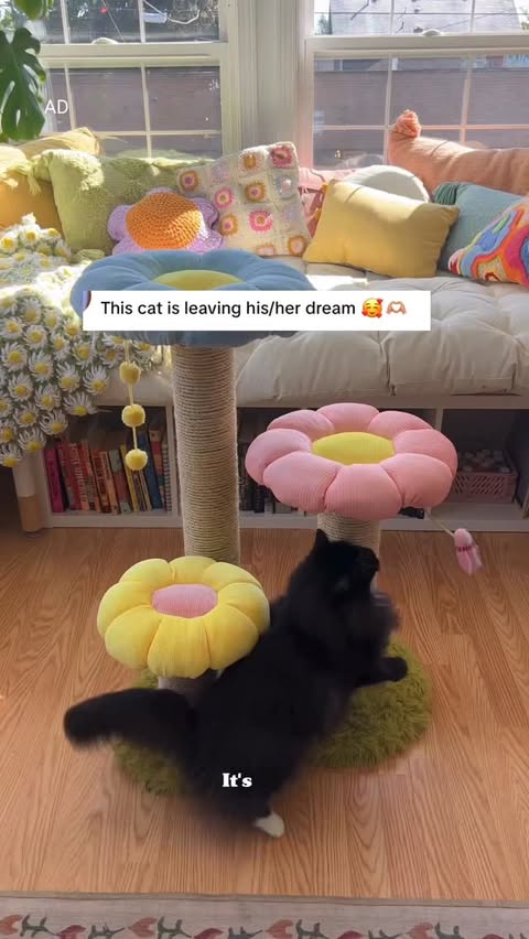 Instagram post by @annikamarieee for Fancy Feast. Caption reads: [...] the handmade things in the world, and....