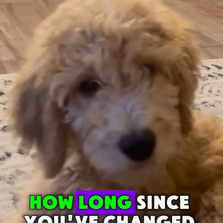 Instagram post by @texas.edge.inspect for Filterbuy. Caption reads: [...] Don’t miss a filter change!

Check out....