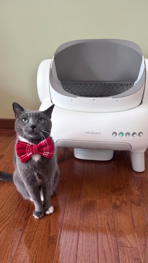 Instagram post by @purrfectinfluencer for Neakasa. Caption reads: [...] and less mess. Kitties will love the....