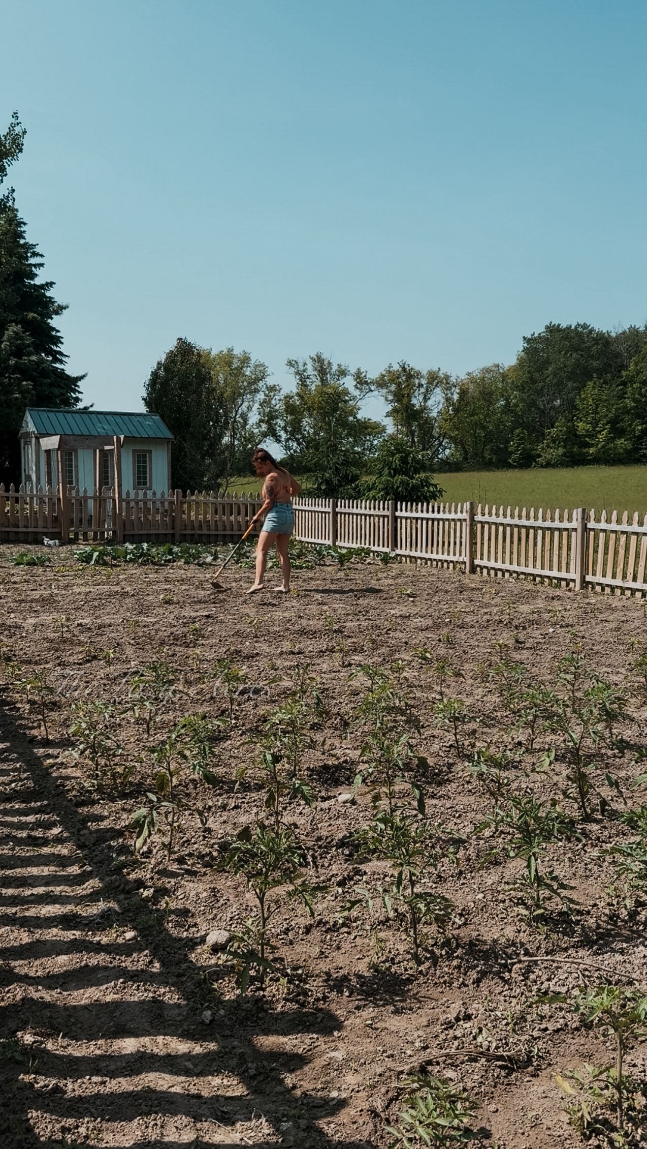 Instagram post by @the_lazy_acres for Fiskars. Caption reads: JUST 15 MINUTES! 

Just a quick walk between the....