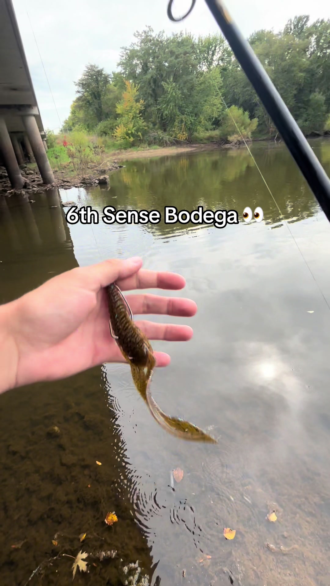 TikTok post by @makoday03 for 6th Sense Fishing. Caption reads: This thing only catches big fish 😳 @6th Sense....