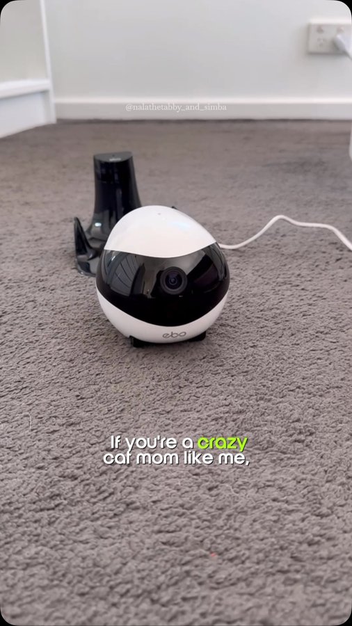Instagram post by @nalathetabby_and_simba for Enabot. Caption reads: 🤖Meet the EBO Air 2 by @enabot_official The smart....