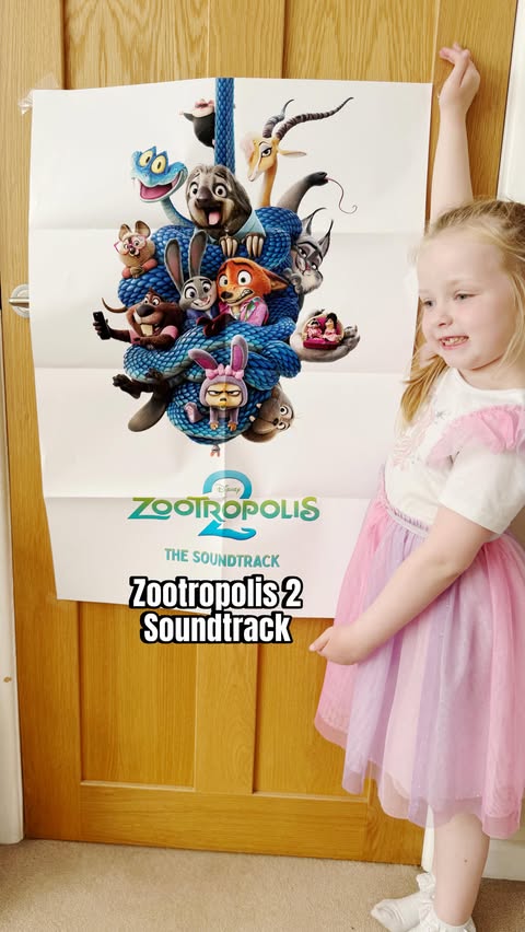 Instagram post by @cathys.corner_ for Come Round. Caption reads: We had the best time having a Zootropolis 2 party....