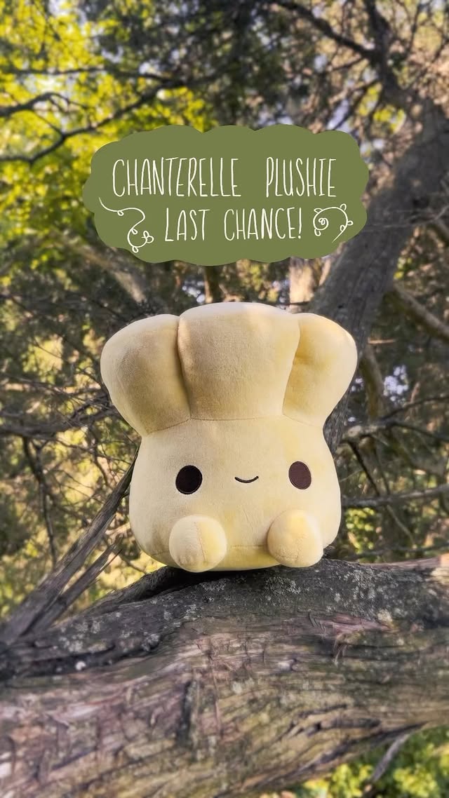 Instagram post by @abi.toads for Makeship. Caption reads: [...] . #plushies #mushroomplush #mushlings....