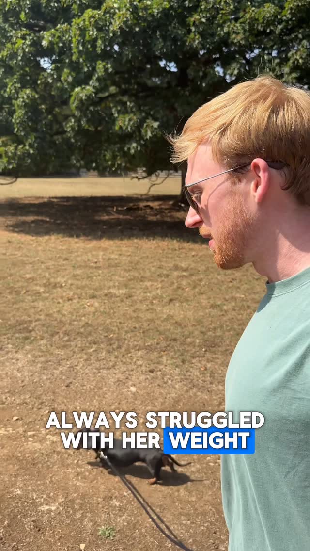 Instagram post by @pizzathequeen for Butternut Box. Caption reads: You’ve been asking why Pizza’s looking so good....