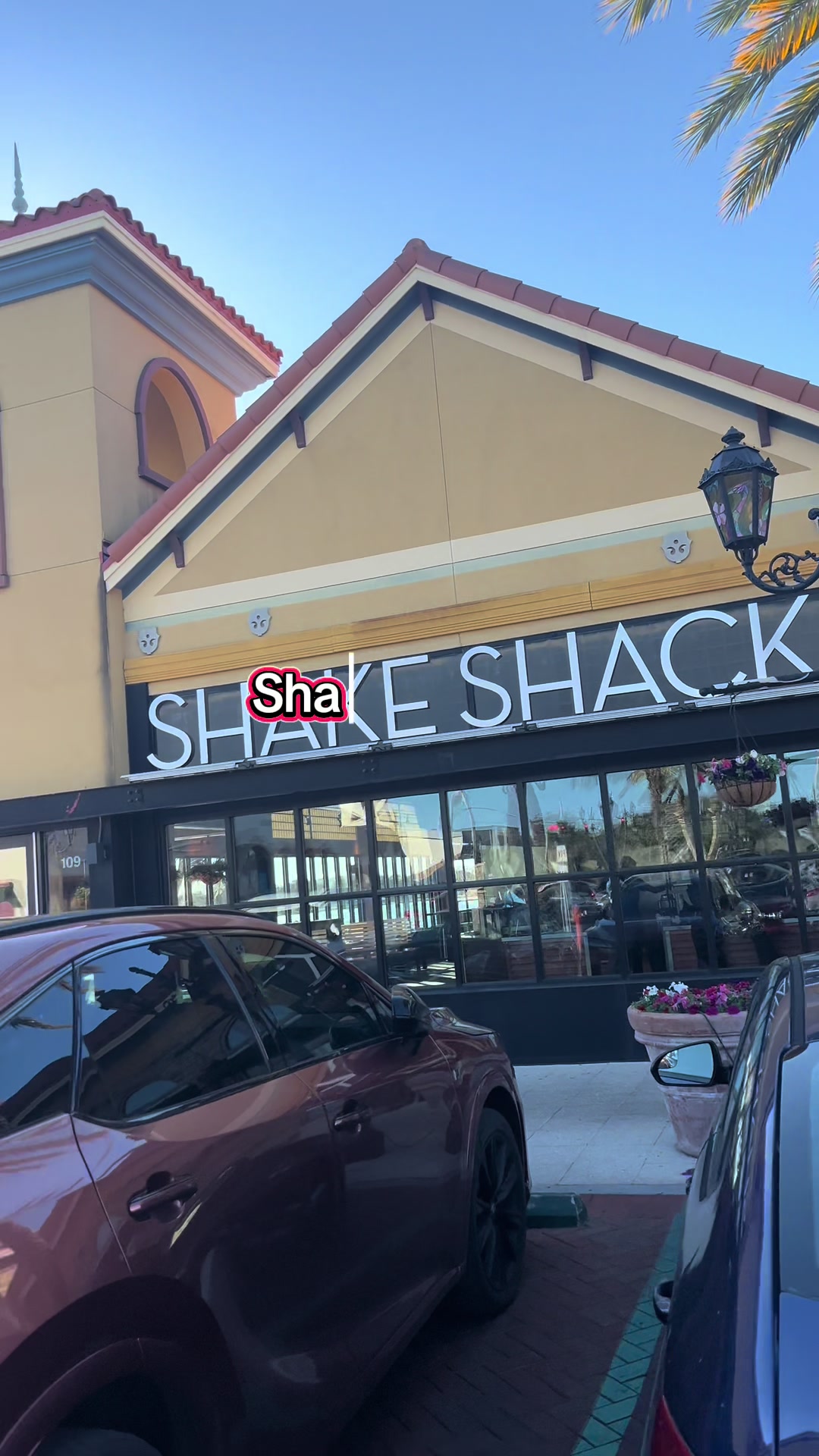 TikTok post by @freekdagemini for Shake Shack. Caption reads: don’t miss out on true love because Shake Shack is....