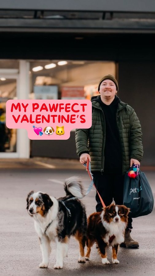 Instagram post by @roamwithauss for Pet Valu. Caption reads: [...] planning a surprise date to shopping at Pet....