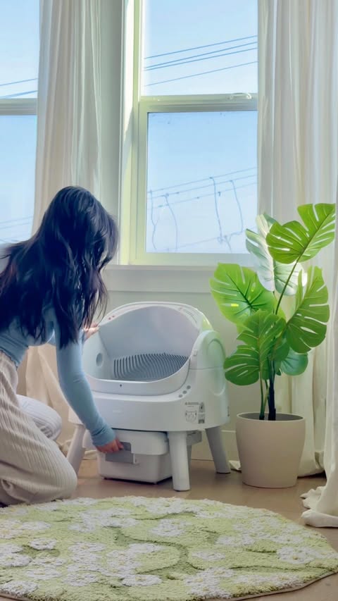 Instagram post by @imluckytran for PetPivot. Caption reads: Gave my cats a cozy little corner of their own....