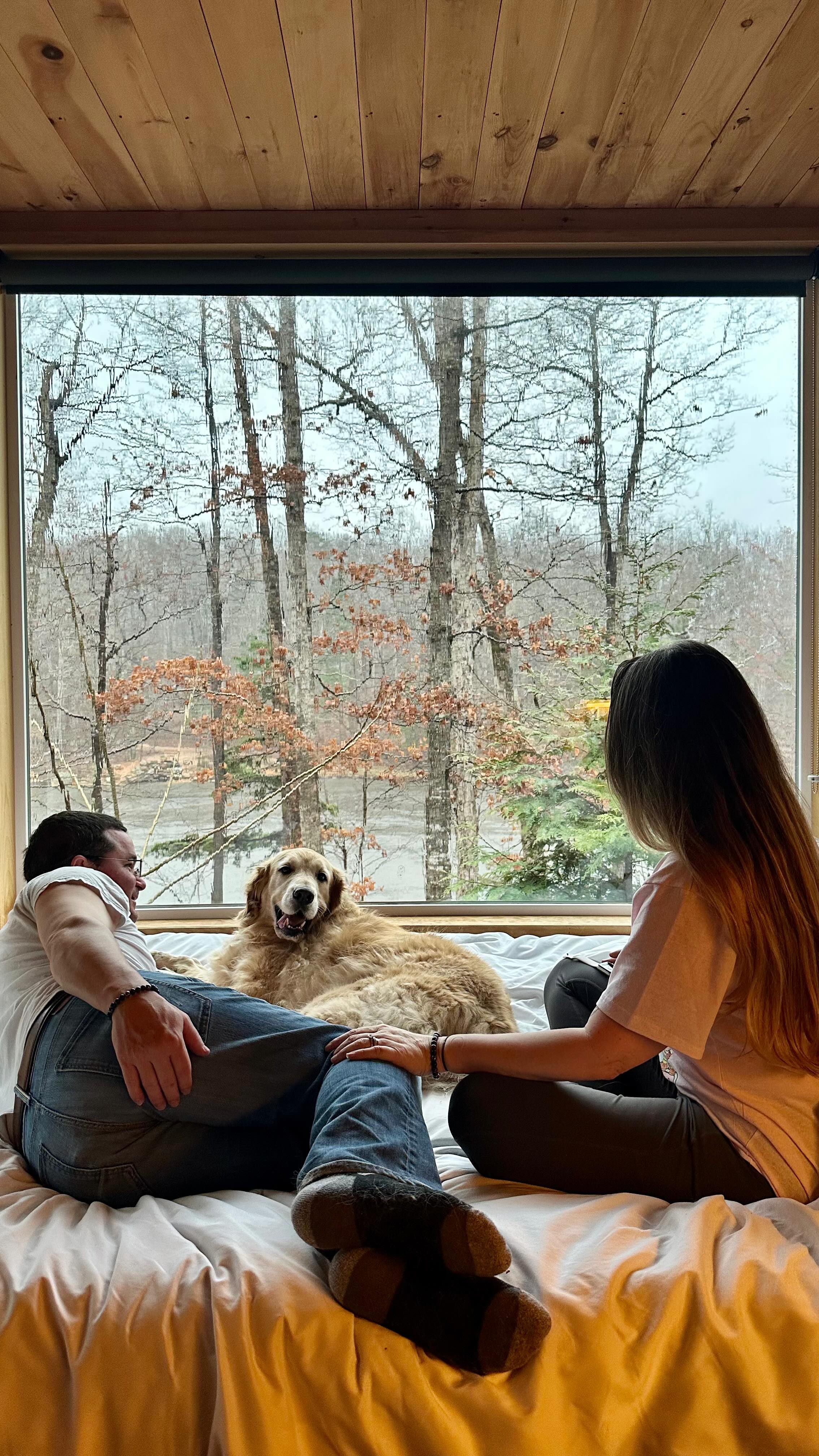 Instagram post by @the.wanderingfoxes for Postcard Cabins. Caption reads: We found the perfect place for a weekend of....