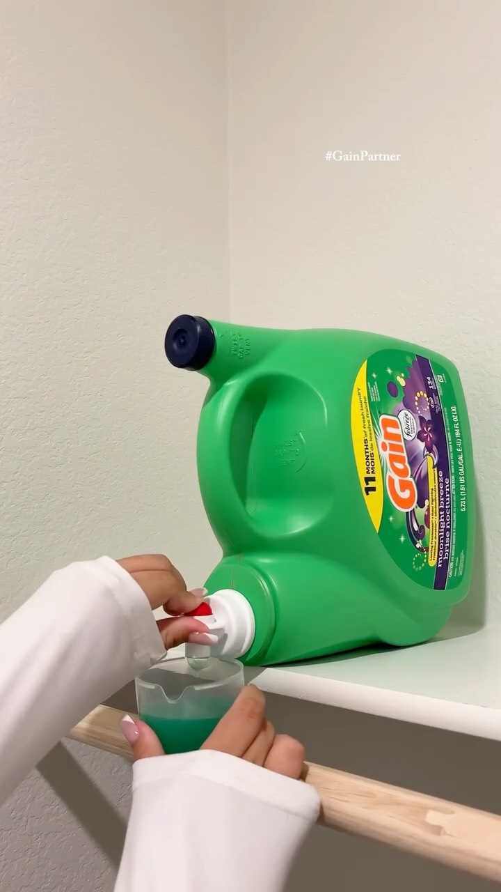 Instagram post by @britneydelsol for I Love Gain. Caption reads: #GainPartner one thing about our family: if you go....