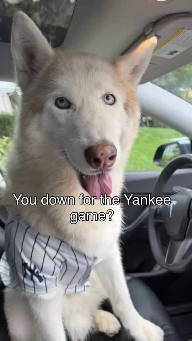 Instagram post by @huskyfreezing for 3Wliners. Caption reads: [...] least my car mats from 3W Floor Mats....